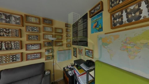 Moradia T3 para Venda em Ganfei