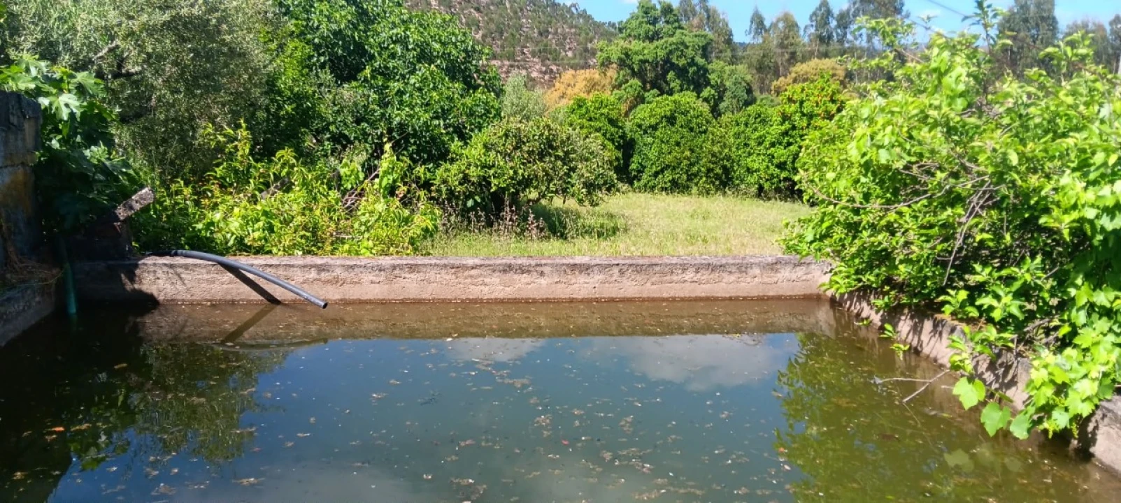 Terreno Agricola ou Rústico para Venda em Mação, Penhascoso e Aboboreira Foto 1