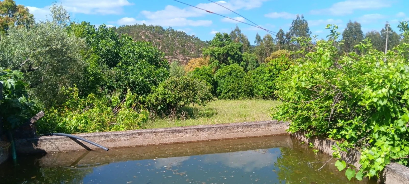 Terreno Agricola ou Rústico para Venda em Mação, Penhascoso e Aboboreira Foto 6