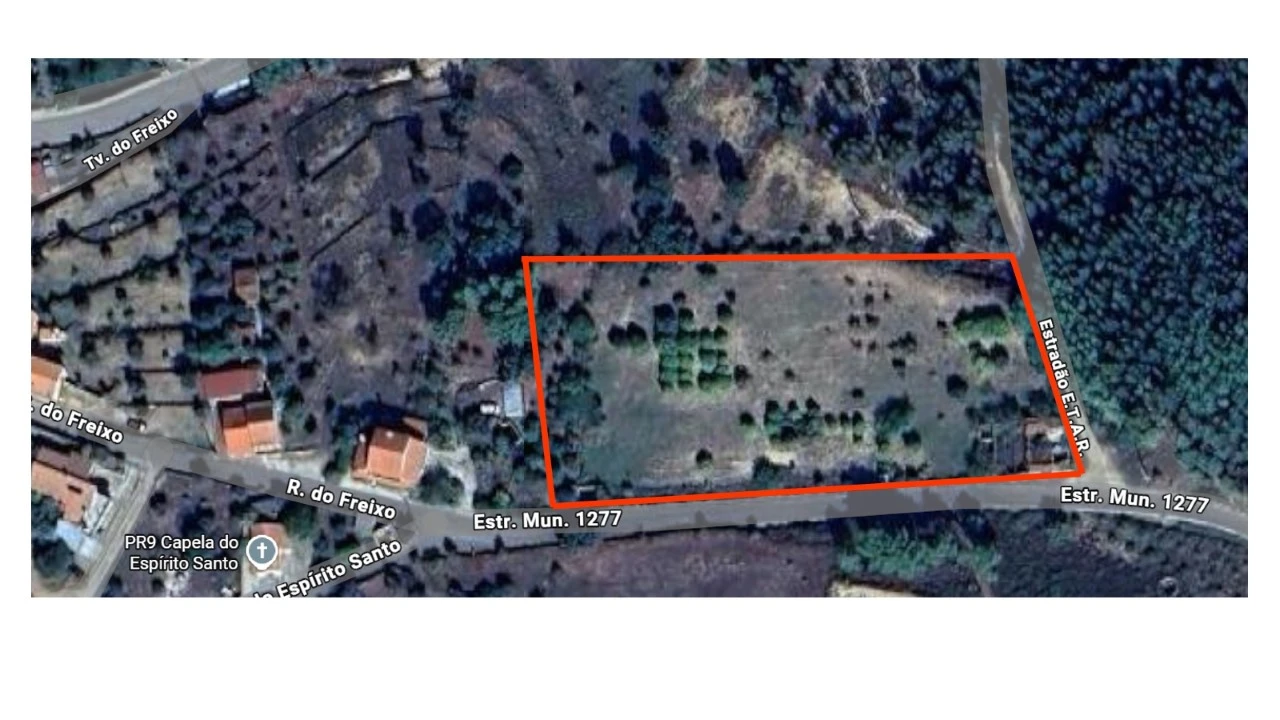 Terreno Agricola ou Rústico para Venda em Mação, Penhascoso e Aboboreira Foto 18