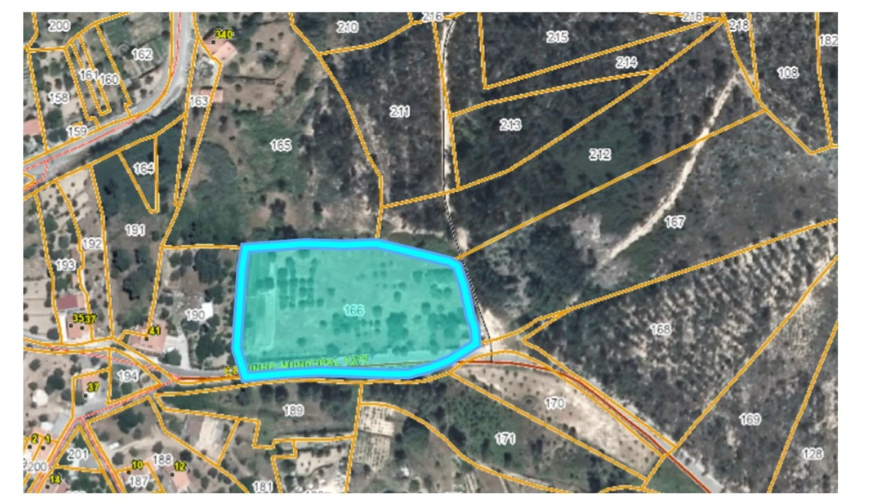 Terreno Agricola ou Rústico para Venda em Mação, Penhascoso e Aboboreira Foto 19