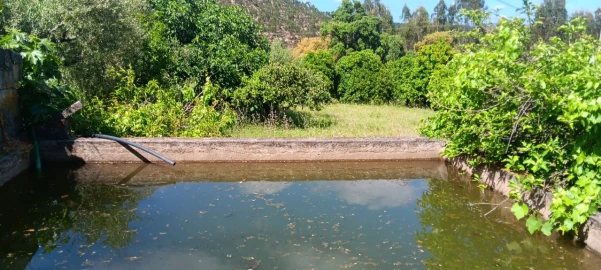 Terreno Agricola ou Rústico para Venda em Mação, Penhascoso e Aboboreira