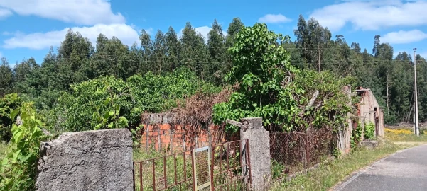 Terreno Agricola ou Rústico para Venda em Mação, Penhascoso e Aboboreira