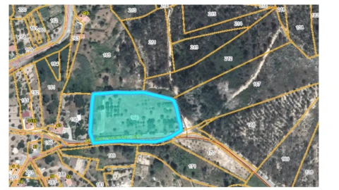 Terreno Agricola ou Rústico para Venda em Mação, Penhascoso e Aboboreira