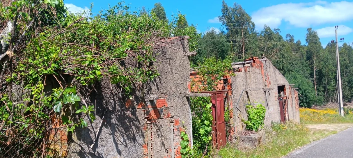 Terreno Agricola ou Rústico para Venda em Mação, Penhascoso e Aboboreira Foto 13
