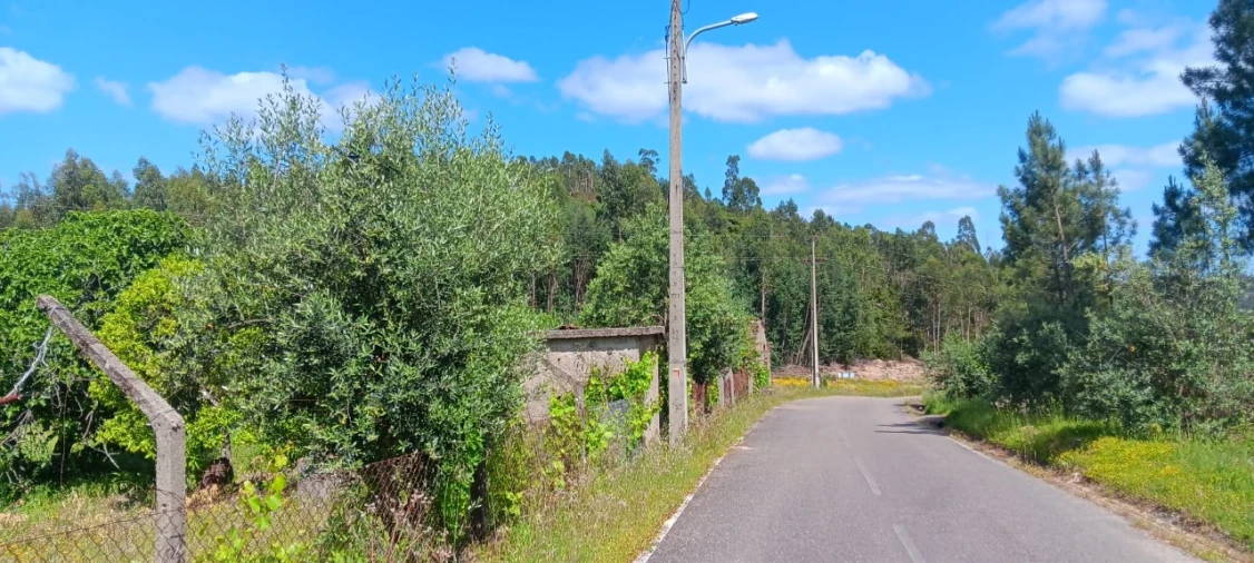 Terreno Agricola ou Rústico para Venda em Mação, Penhascoso e Aboboreira Foto 15