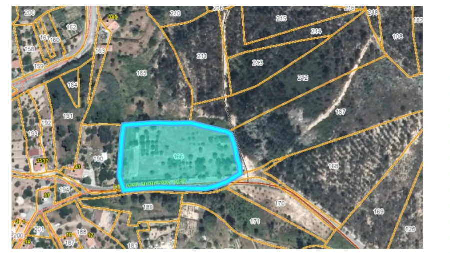 Terreno Agricola ou Rústico para Venda em Mação, Penhascoso e Aboboreira Foto 19