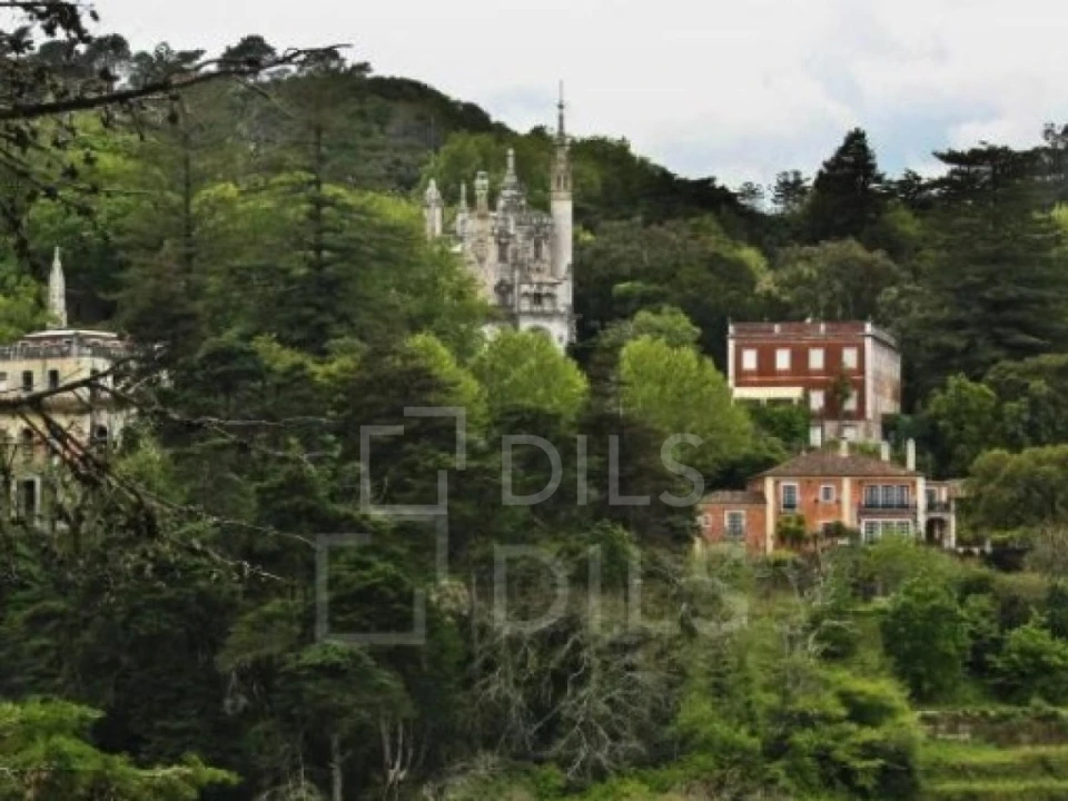 Terreno para Venda em Santa Maria e São Miguel, São Martinho, São Pedro Penaferrim Foto 1