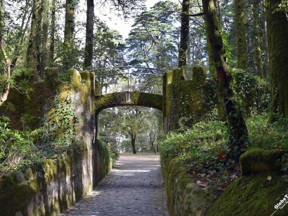 Terreno para Venda em Santa Maria e São Miguel, São Martinho, São Pedro Penaferrim Foto 2