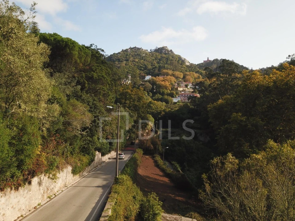 Terreno para Venda em Santa Maria e São Miguel, São Martinho, São Pedro Penaferrim Foto 12