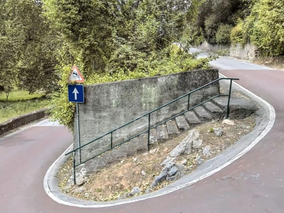 Terreno para Venda em Santa Maria e São Miguel, São Martinho, São Pedro Penaferrim Foto 18