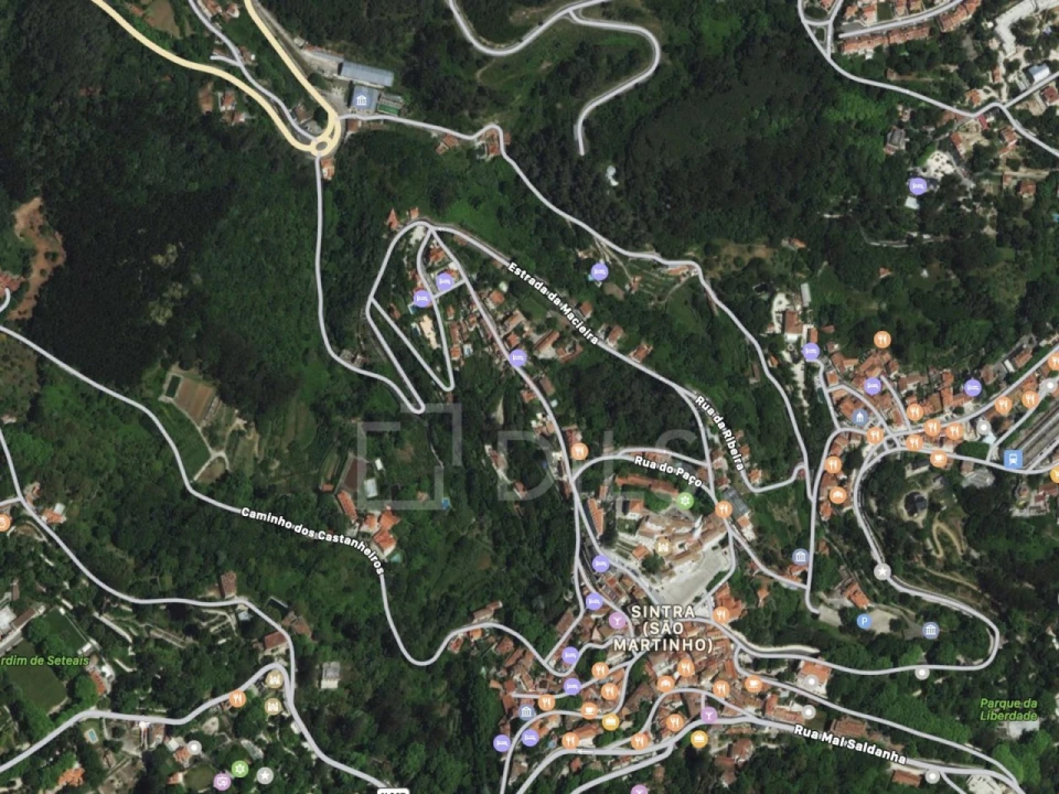 Terreno para Venda em Santa Maria e São Miguel, São Martinho, São Pedro Penaferrim Foto 19