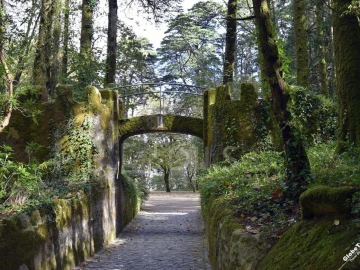 Terreno para Venda em Santa Maria e São Miguel, São Martinho, São Pedro Penaferrim