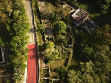 Terreno para Venda em Santa Maria e São Miguel, São Martinho, São Pedro Penaferrim