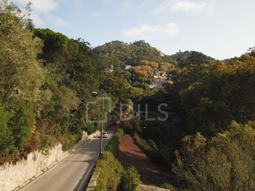 Terreno para Venda em Santa Maria e São Miguel, São Martinho, São Pedro Penaferrim