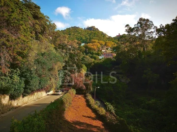 Terreno para Venda em Santa Maria e São Miguel, São Martinho, São Pedro Penaferrim