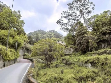 Terreno para Venda em Santa Maria e São Miguel, São Martinho, São Pedro Penaferrim