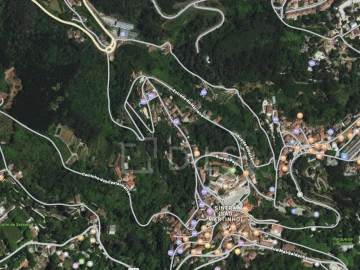 Terreno para Venda em Santa Maria e São Miguel, São Martinho, São Pedro Penaferrim