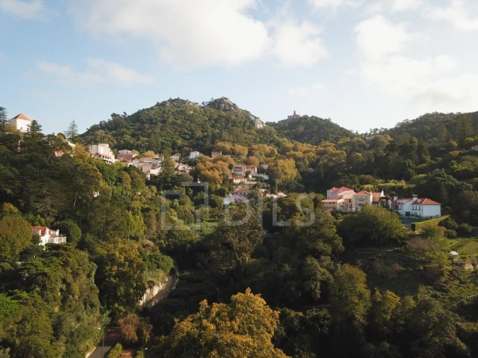 Terreno para Venda em Santa Maria e São Miguel, São Martinho, São Pedro Penaferrim Foto 8