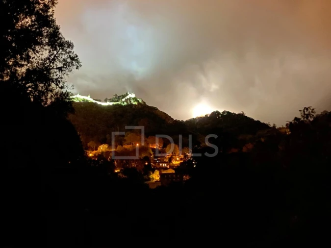 Terreno para Venda em Santa Maria e São Miguel, São Martinho, São Pedro Penaferrim Foto 10