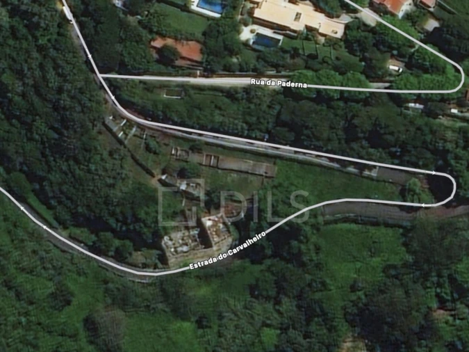 Terreno para Venda em Santa Maria e São Miguel, São Martinho, São Pedro Penaferrim Foto 20
