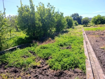 Moradia T3 para Venda em São Miguel do Rio Torto e Rossio Ao Sul do Tejo