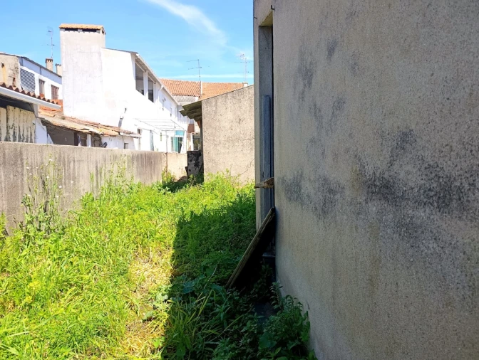 Moradia T3 para Venda em São Miguel do Rio Torto e Rossio Ao Sul do Tejo Foto 25