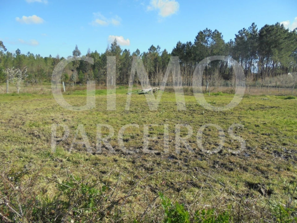 Armazém para Venda em Covões e Camarneira Foto 11