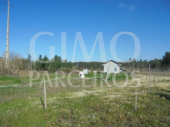 Armazém para Venda em Covões e Camarneira Foto 6