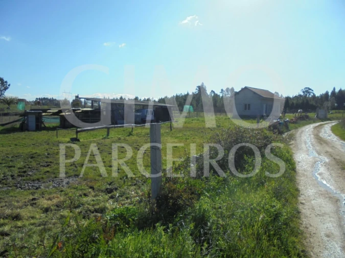 Armazém para Venda em Covões e Camarneira Foto 13