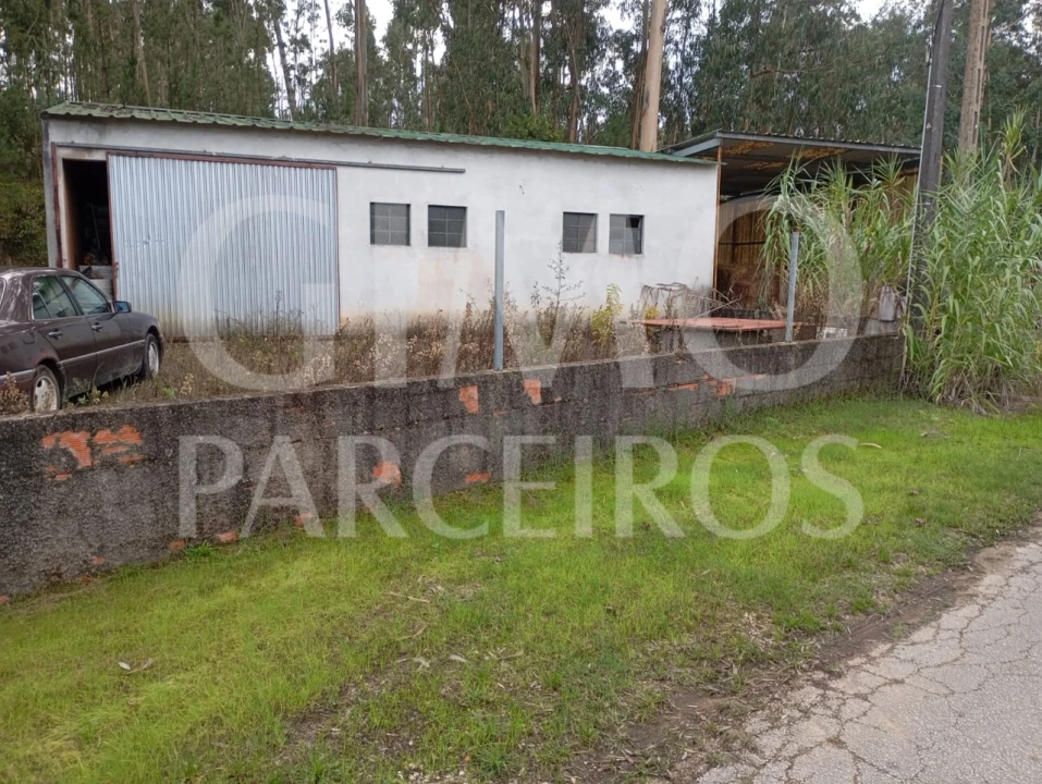 Armazém para Venda em Oiã Foto 1