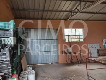 Armazém para Venda em Oiã