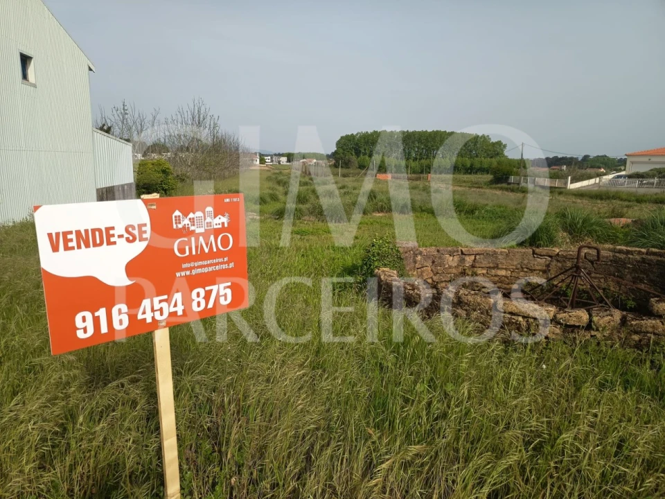 Terreno para Venda em Bustos, Troviscal e Mamarrosa Foto 11