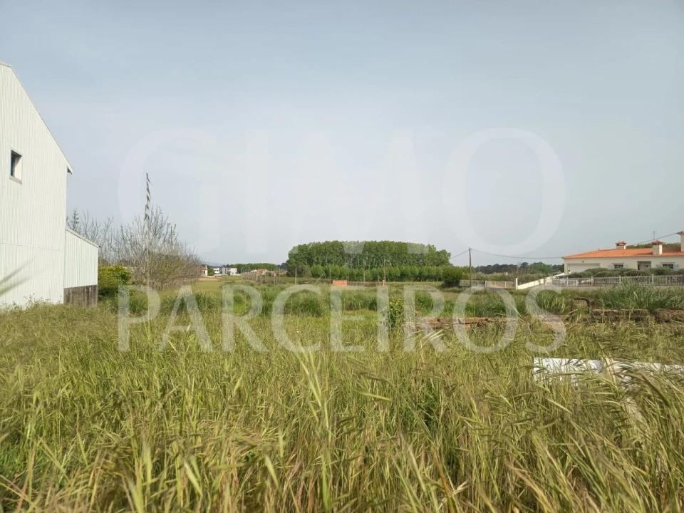 Terreno para Venda em Bustos, Troviscal e Mamarrosa Foto 5