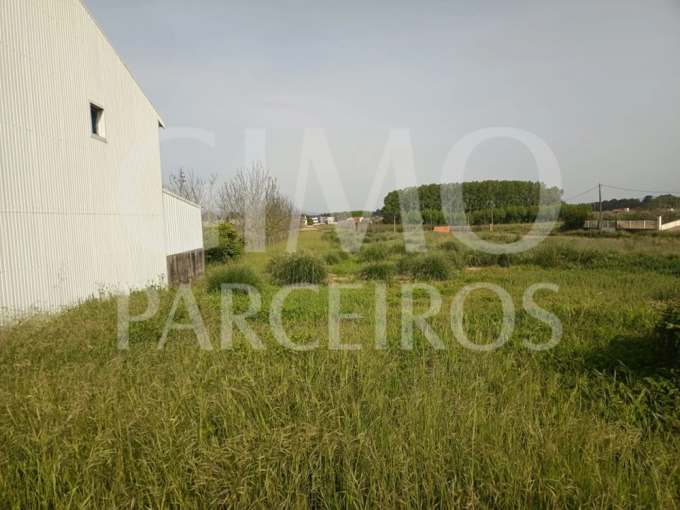 Terreno para Venda em Bustos, Troviscal e Mamarrosa Foto 2