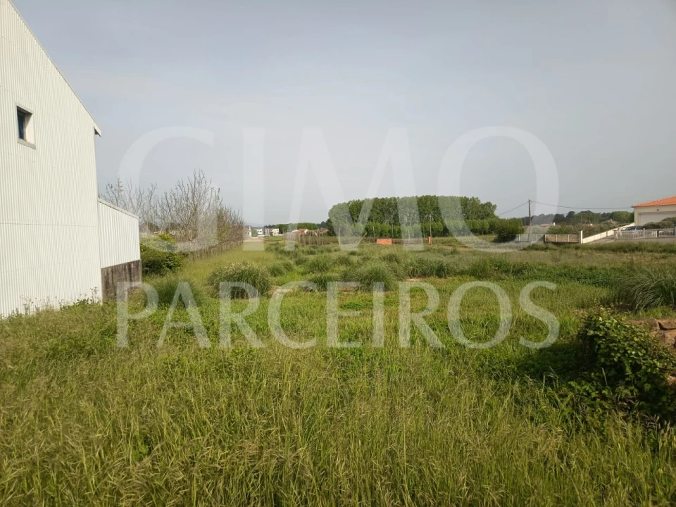 Terreno para Venda em Bustos, Troviscal e Mamarrosa Foto 3