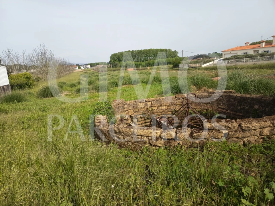 Terreno para Venda em Bustos, Troviscal e Mamarrosa Foto 8