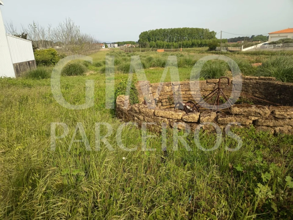Terreno para Venda em Bustos, Troviscal e Mamarrosa Foto 9