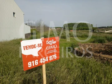 Terreno para Venda em Bustos, Troviscal e Mamarrosa