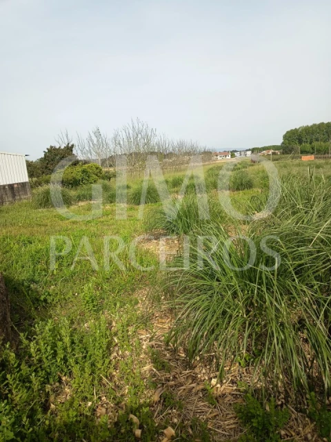 Terreno para Venda em Bustos, Troviscal e Mamarrosa