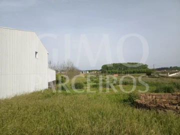 Terreno para Venda em Bustos, Troviscal e Mamarrosa