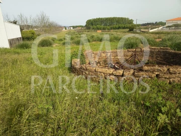 Terreno para Venda em Bustos, Troviscal e Mamarrosa