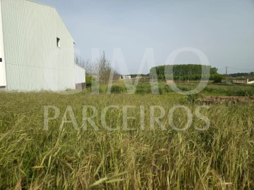 Terreno para Venda em Bustos, Troviscal e Mamarrosa