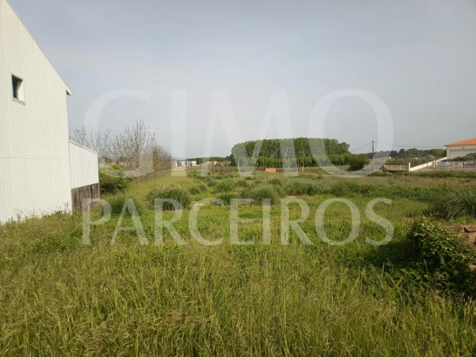 Terreno para Venda em Bustos, Troviscal e Mamarrosa Foto 3