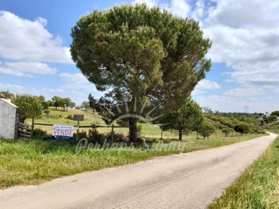 Terreno Agricola ou Rústico para Venda em Grândola e Santa Margarida da Serra Foto 3