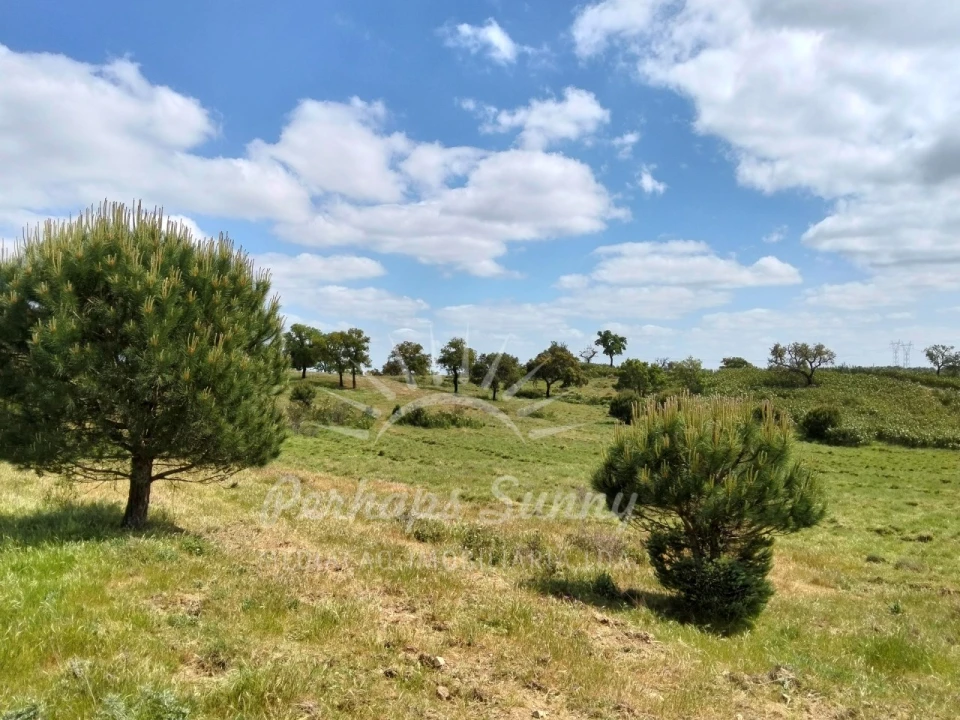 Terreno Agricola ou Rústico para Venda em Grândola e Santa Margarida da Serra Foto 9