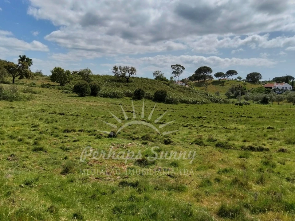 Terreno Agricola ou Rústico para Venda em Grândola e Santa Margarida da Serra Foto 10