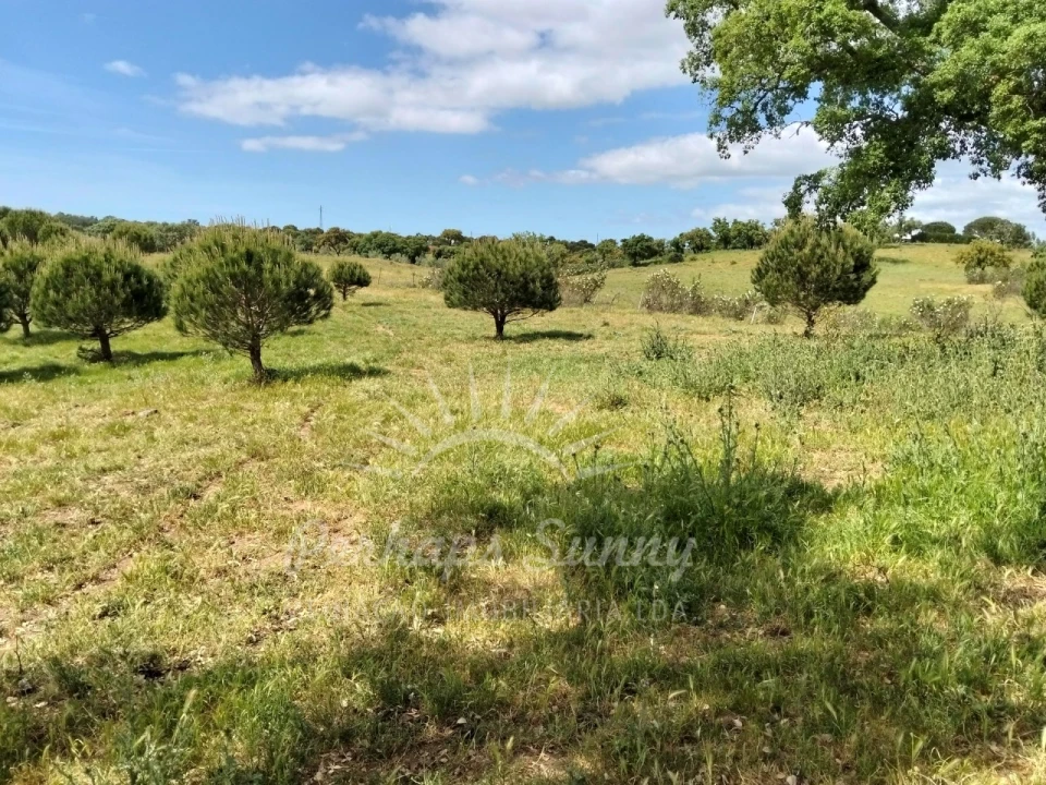 Terreno Agricola ou Rústico para Venda em Grândola e Santa Margarida da Serra Foto 16