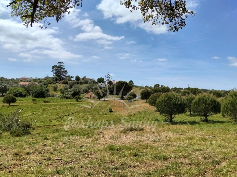 Terreno Agricola ou Rústico para Venda em Grândola e Santa Margarida da Serra Foto 17