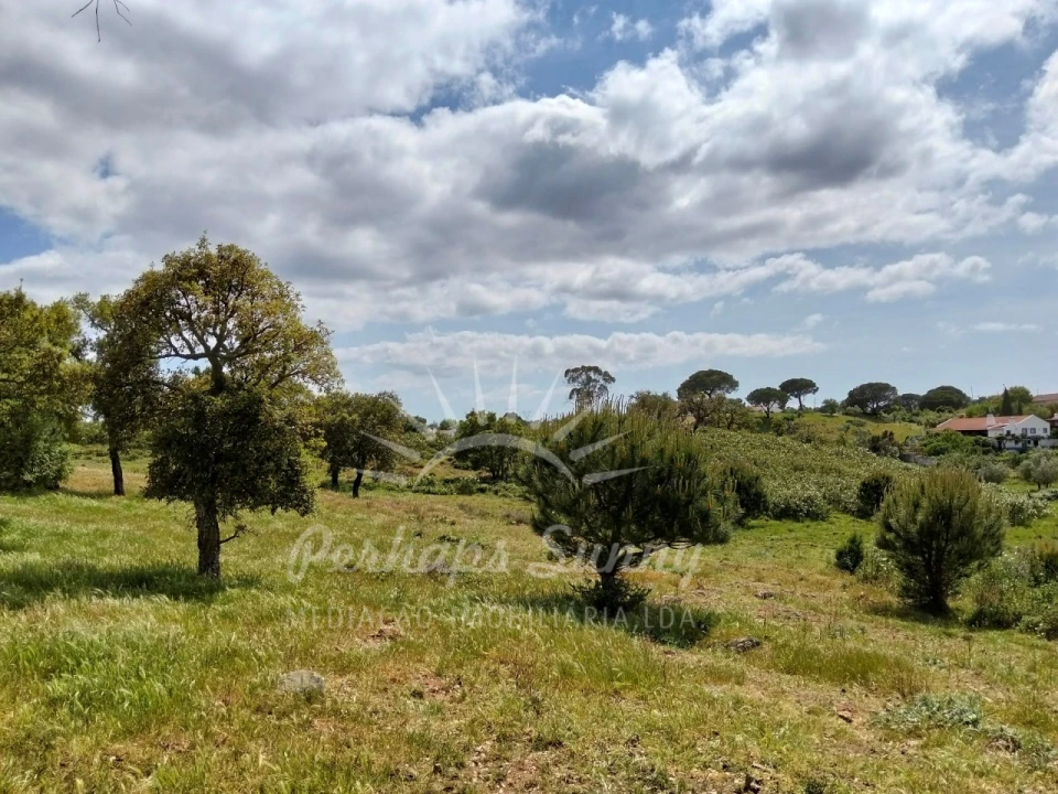 Terreno Agricola ou Rústico para Venda em Grândola e Santa Margarida da Serra Foto 20